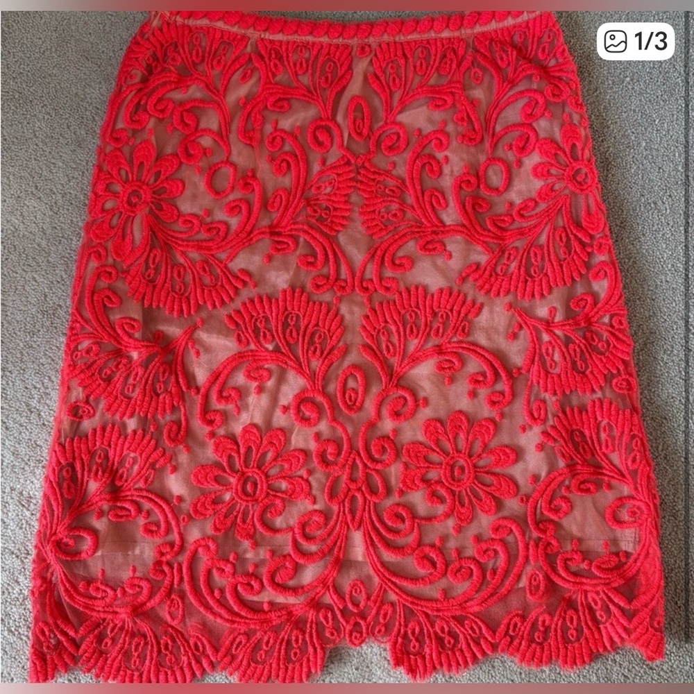 Stunning Anthropologie skirt